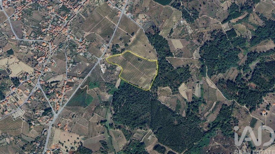 Quinta para Venda em Carvalhal Redondo e Aguieira Foto 30