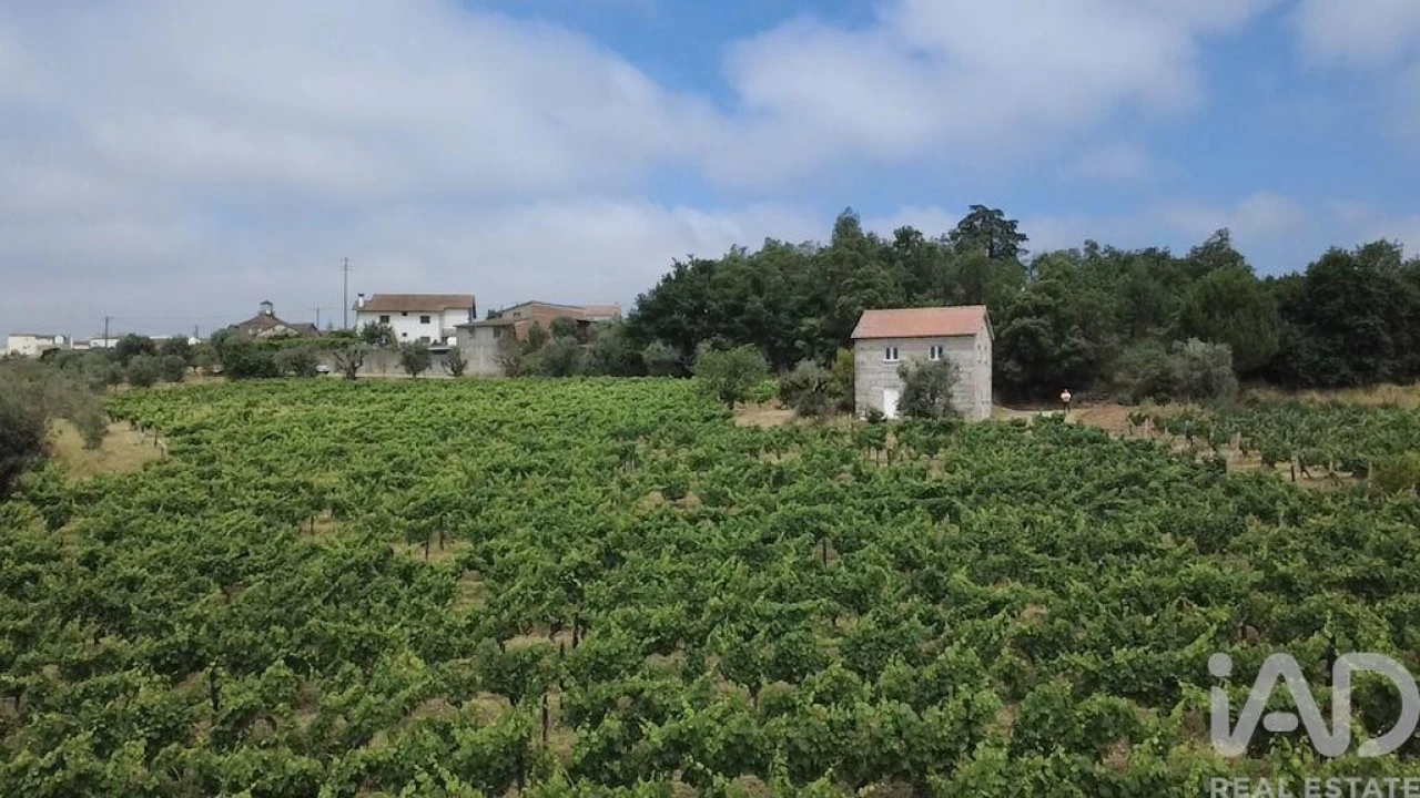 Quinta para Venda em Carvalhal Redondo e Aguieira Foto 5