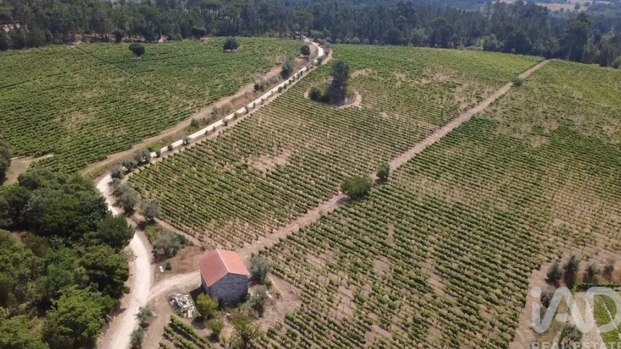 Quinta para Venda em Carvalhal Redondo e Aguieira