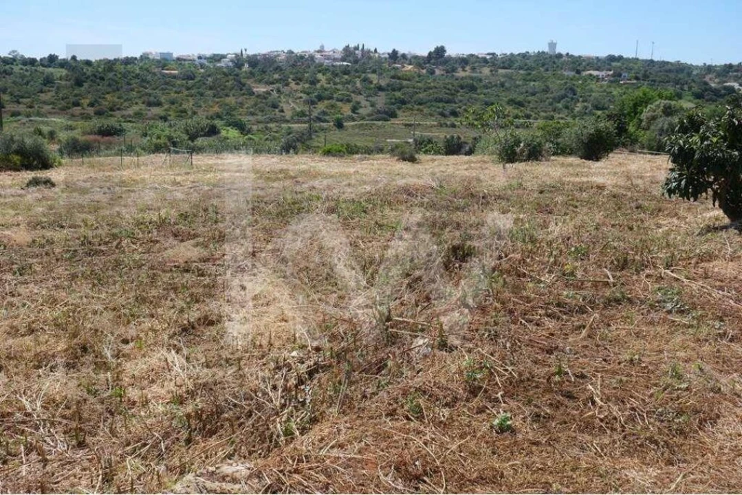 Terreno para Venda em Mexilhoeira Grande Foto 11