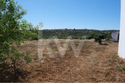 Terreno para Venda em Mexilhoeira Grande