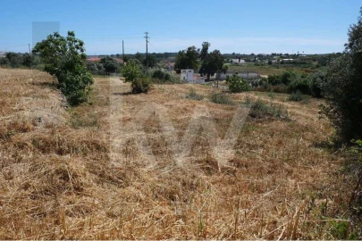 Terreno para Venda em Mexilhoeira Grande