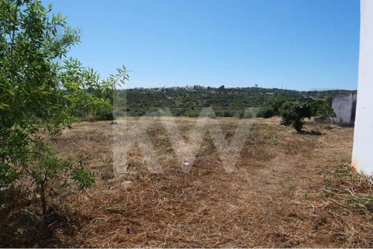Terreno para Venda em Mexilhoeira Grande Foto 12