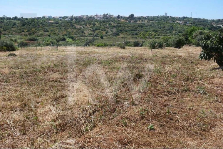 Terreno para Venda em Mexilhoeira Grande Foto 11