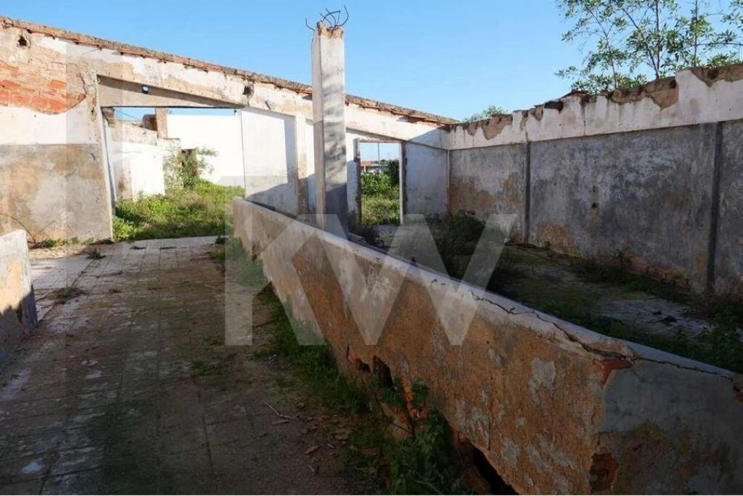 Terreno para Venda em Mexilhoeira Grande Foto 9