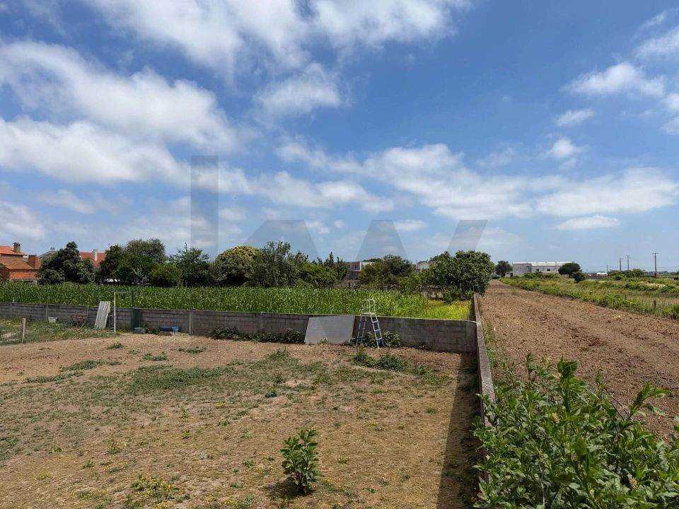 Terreno para Venda em Oliveirinha Foto 6
