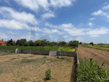 Terreno para Venda em Oliveirinha