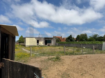 Terreno para Venda em Oliveirinha