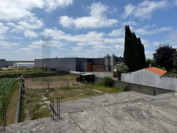 Terreno para Venda em Oliveirinha