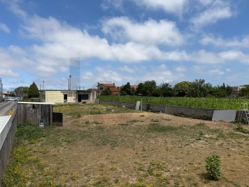 Terreno para Venda em Oliveirinha