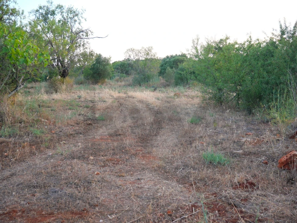 Terreno para Venda em Silves Foto 9