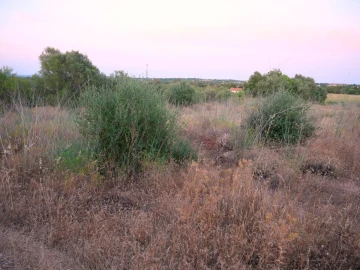 Terreno para Venda em Silves