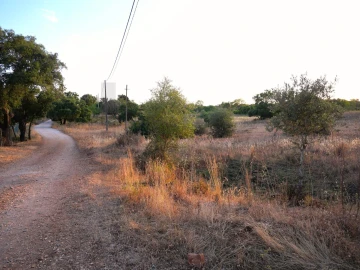 Terreno para Venda em Silves