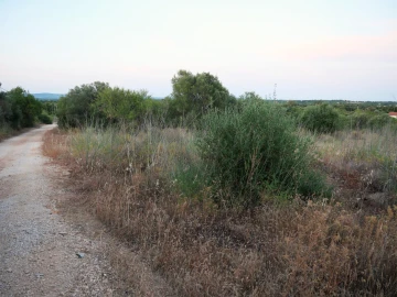 Terreno para Venda em Silves