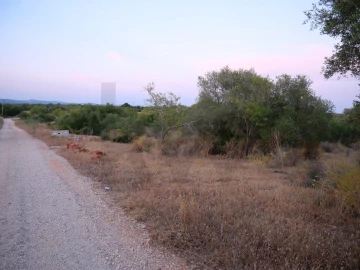 Terreno para Venda em Silves
