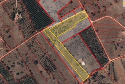 Terreno para Venda em Silves