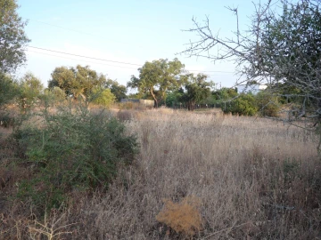 Terreno para Venda em Silves