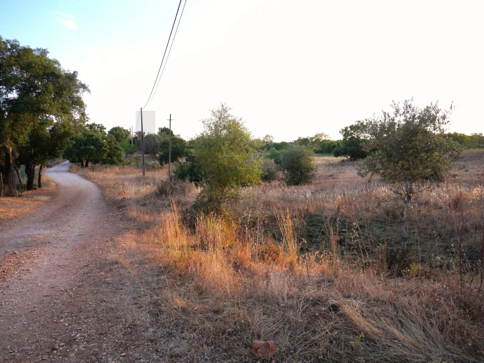 Terreno para Venda em Silves Foto 1