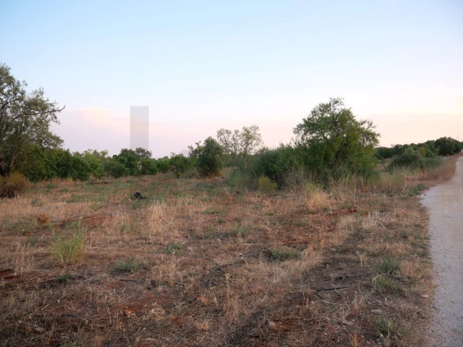 Terreno para Venda em Silves Foto 11