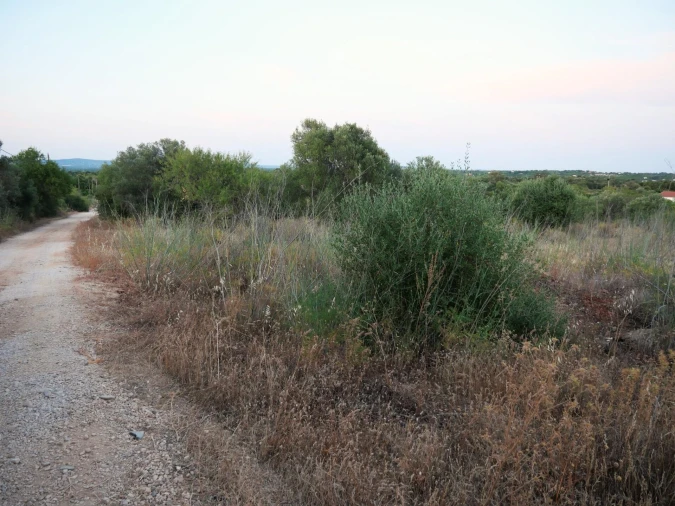 Terreno para Venda em Silves Foto 16