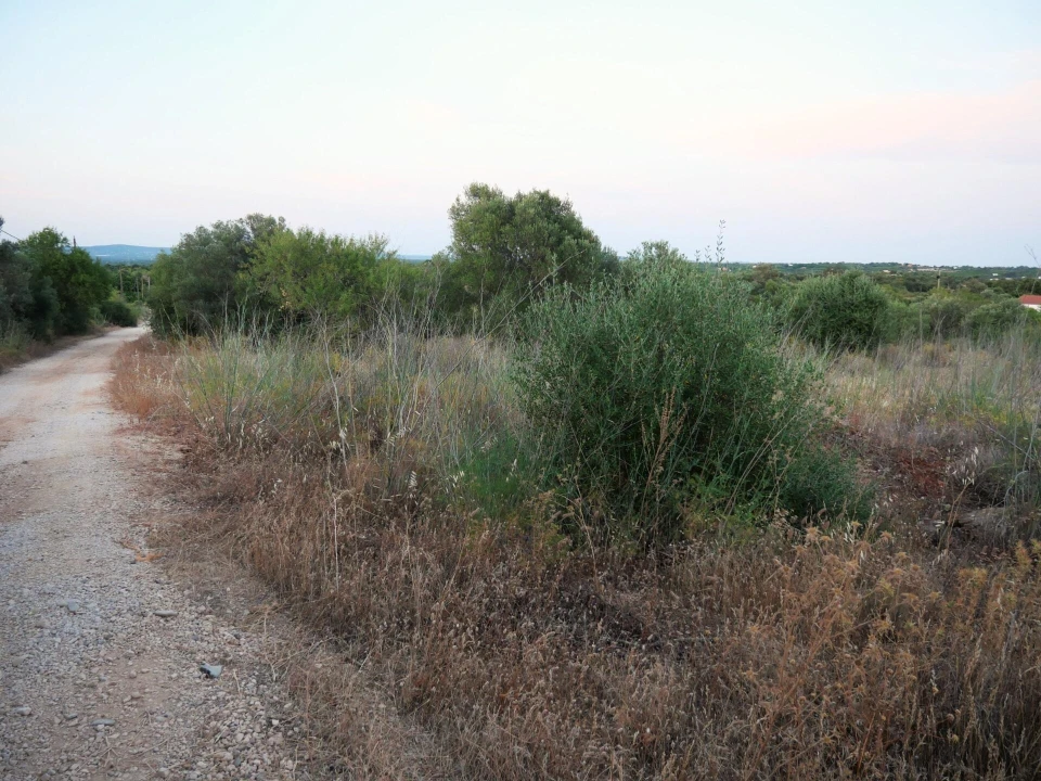 Terreno para Venda em Silves Foto 16