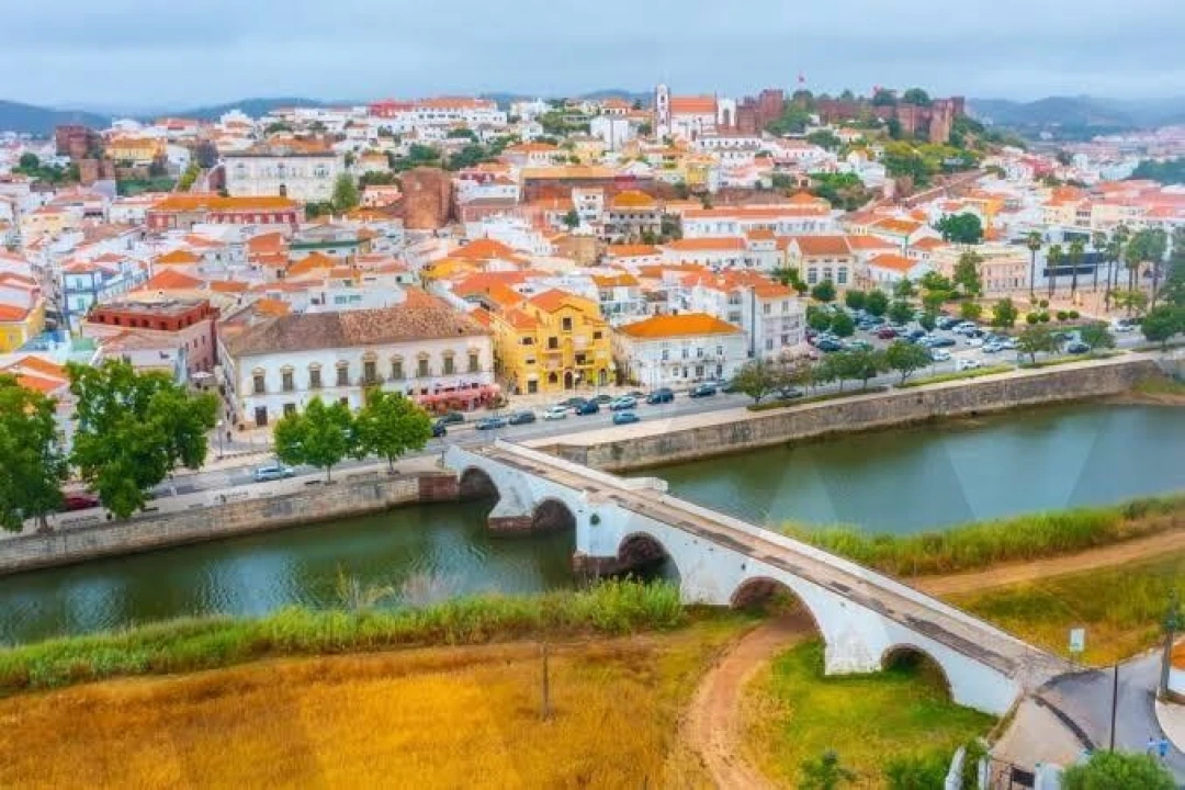 Terreno para Venda em Silves Foto 19