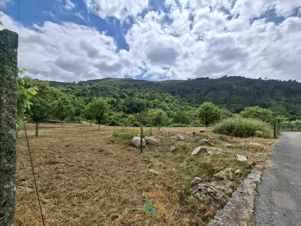 Terreno para Venda em Crasto, Ruivos e Grovelas Foto 2