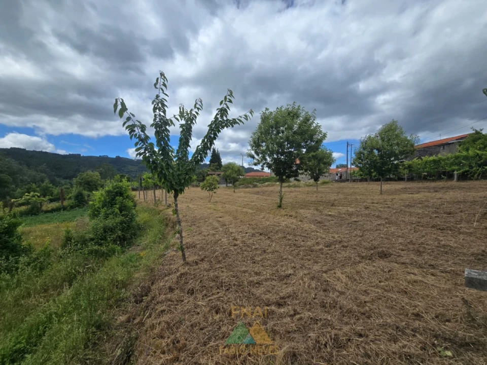 Terreno para Venda em Crasto, Ruivos e Grovelas Foto 3