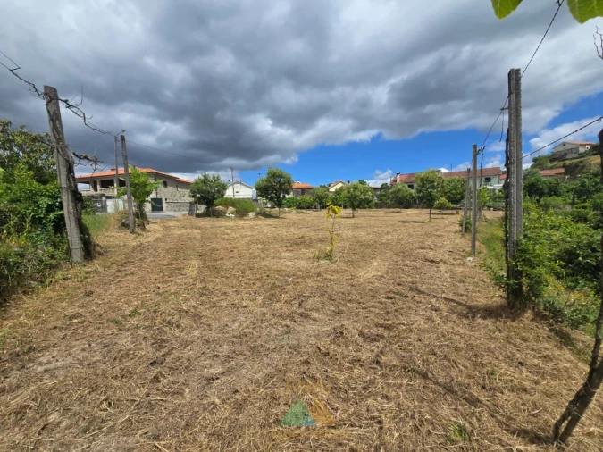 Terreno para Venda em Crasto, Ruivos e Grovelas Foto 4