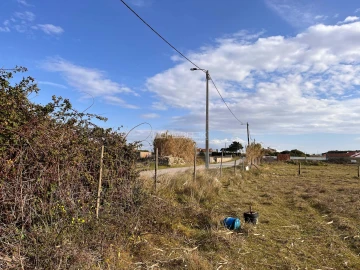 Terreno para Venda em Agualva e Mira-Sintra