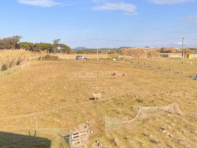 Terreno para Venda em Agualva e Mira-Sintra Foto 6