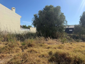 Terreno para Venda em Alcabideche