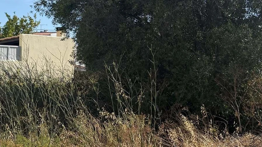 Terreno para Venda em Alcabideche