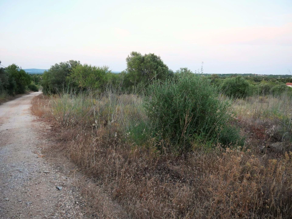 Terreno para Venda em Silves Foto 16