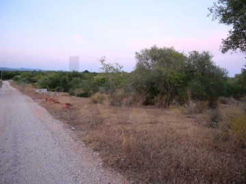 Terreno para Venda em Silves