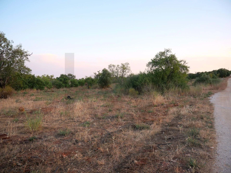 Terreno para Venda em Silves Foto 11