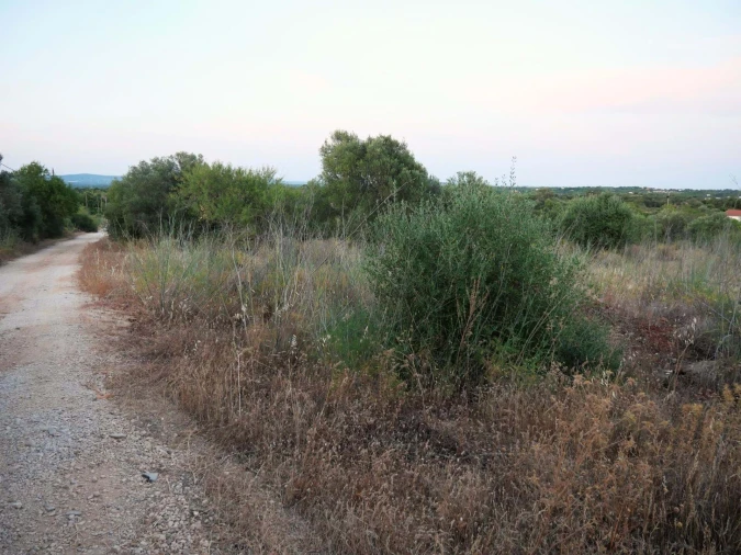 Terreno para Venda em Silves Foto 16