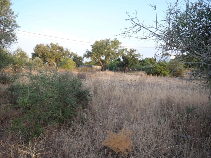 Terreno para Venda em Silves Foto 8