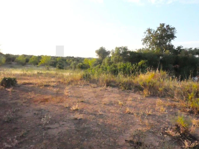 Terreno para Venda em Silves Foto 4