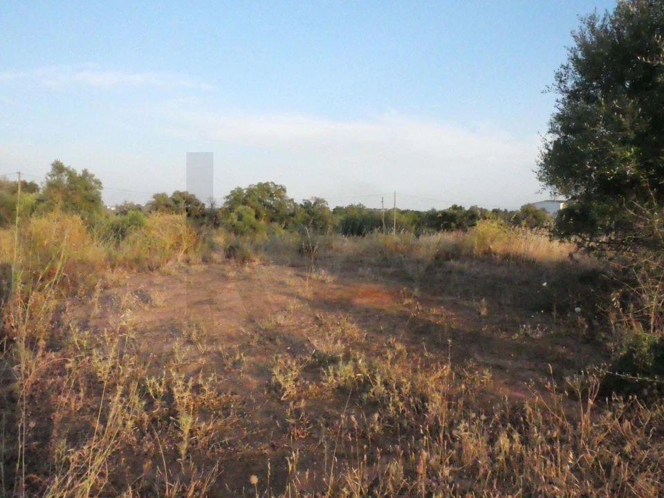 Terreno para Venda em Silves Foto 7