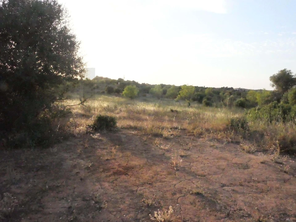 Terreno para Venda em Silves Foto 5