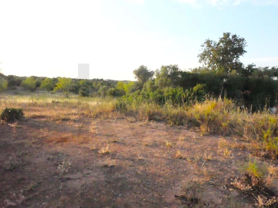 Terreno para Venda em Silves Foto 4