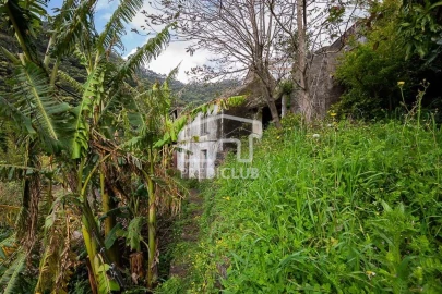 Terreno para Venda em Machico