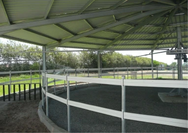 Quinta T6 para Venda em São Teotónio
