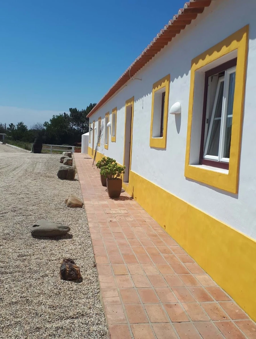 Quinta T6 para Venda em São Teotónio Foto 4