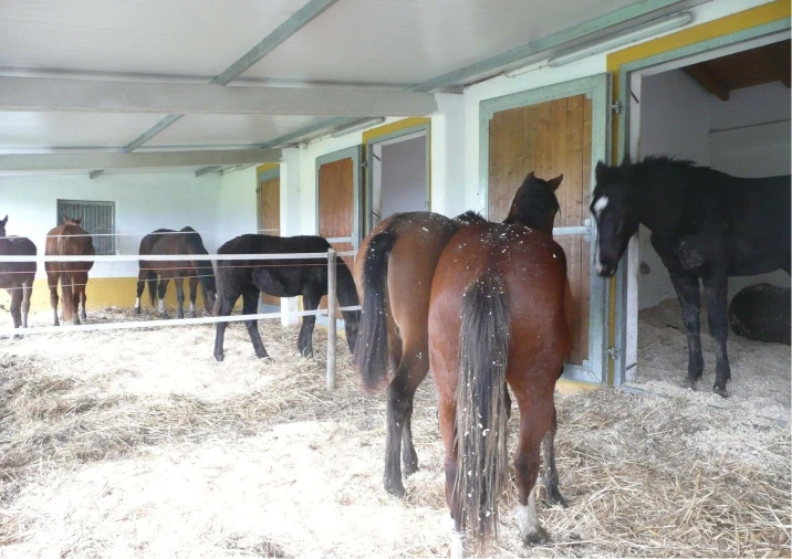 Quinta T6 para Venda em São Teotónio Foto 21