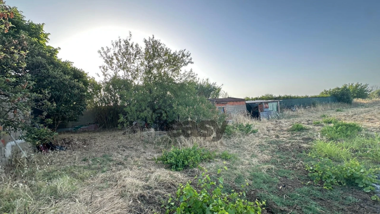 Terreno Agricola ou Rústico para Venda em Vidigueira Foto 4