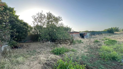 Terreno Agricola ou Rústico para Venda em Vidigueira