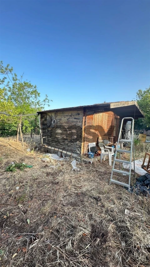 Terreno Agricola ou Rústico para Venda em Vidigueira