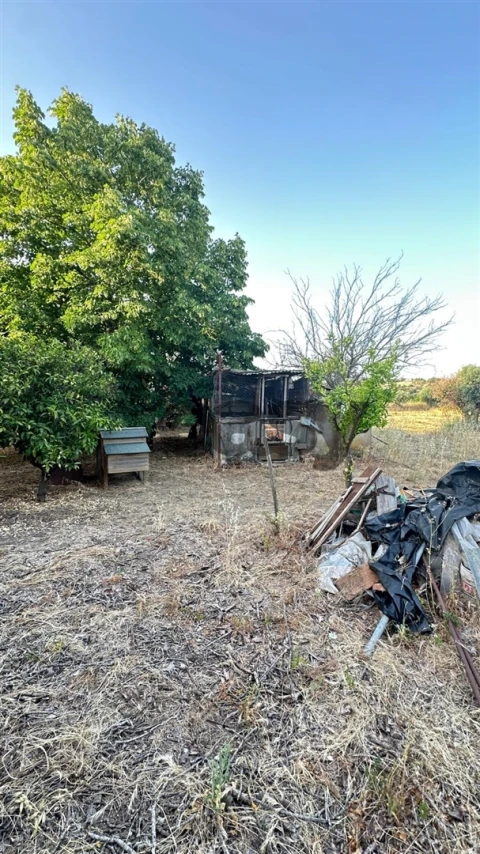 Terreno Agricola ou Rústico para Venda em Vidigueira